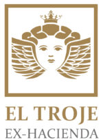 Logo principal