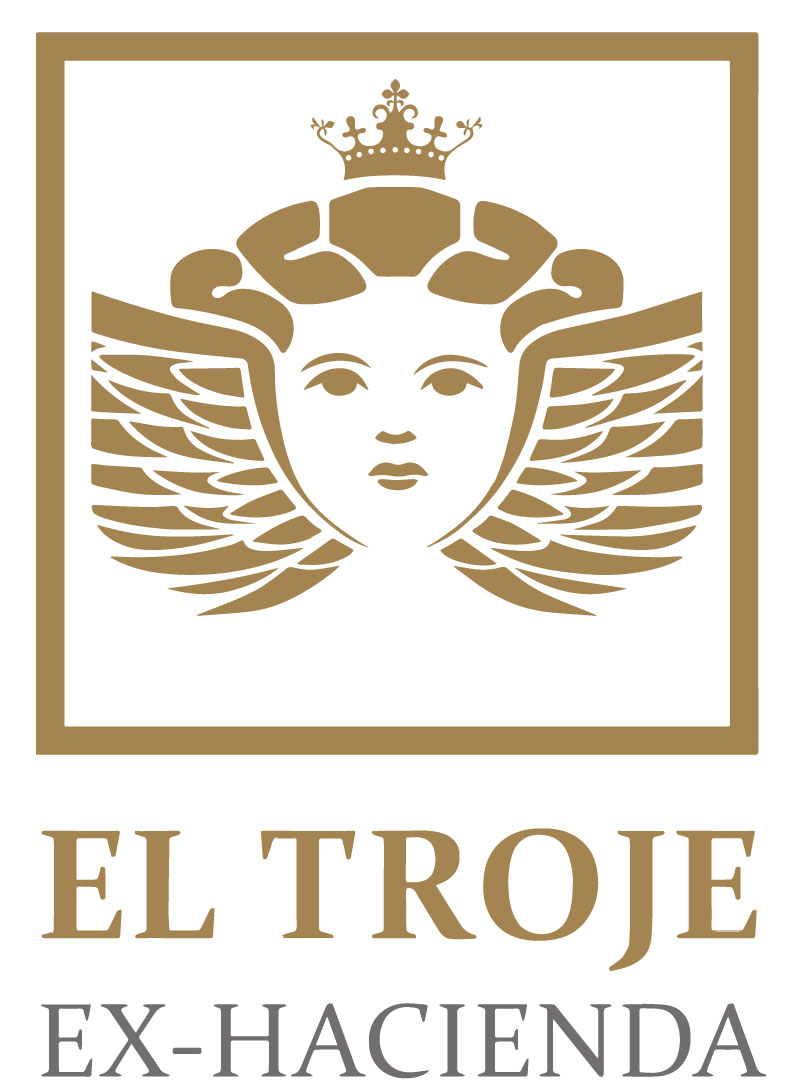 Logo principal