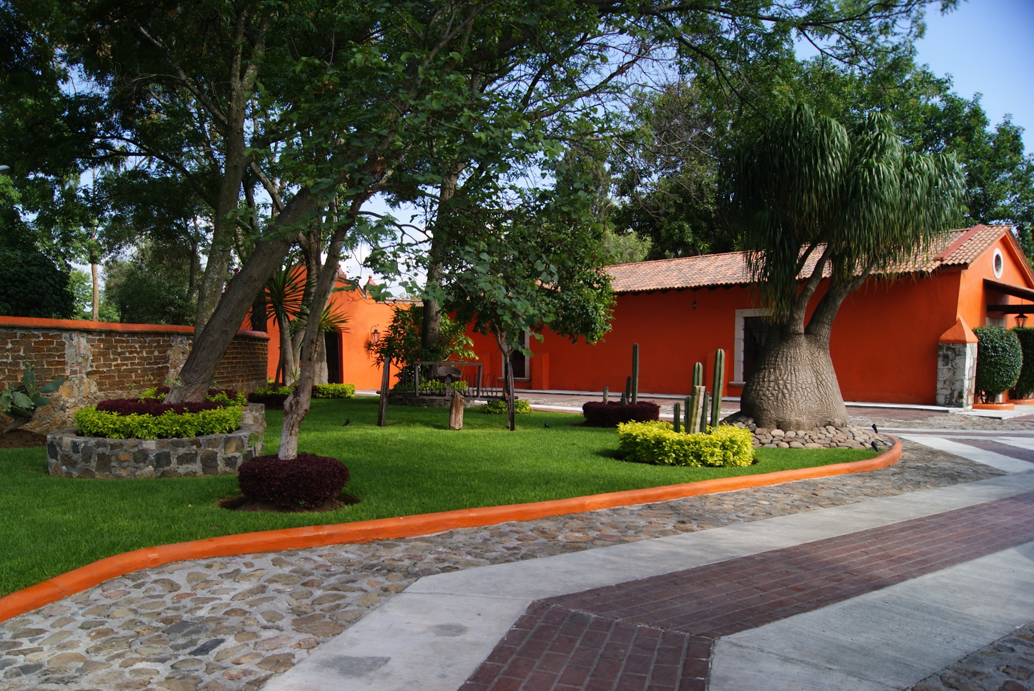 Patio_entrada
